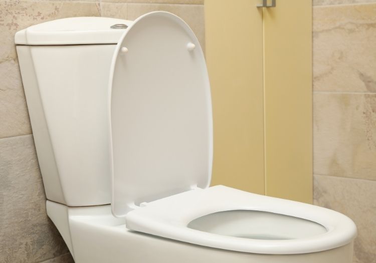 Bồn cầu 2 khối