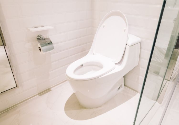 Khi nào nên ưu tiên chọn bồn cầu 1 khối?